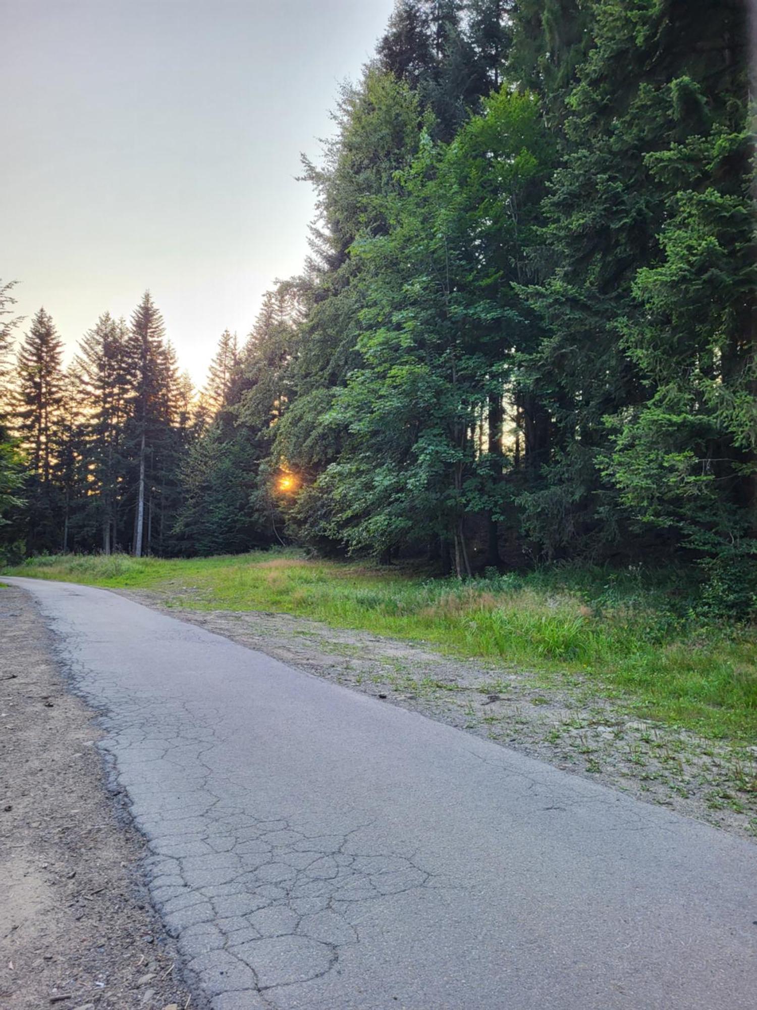 Lavendowa Oaza Villa Kocierz Rychwaldzki Exteriör bild